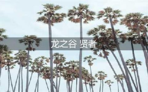 《龙之谷2》贤者怎么加点 贤者加点攻略(龙之谷 贤者)