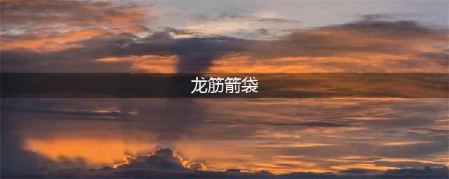 《魔兽世界》龙筋箭袋任务怎么做 龙筋箭袋任务详解(龙筋箭袋)