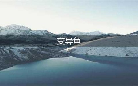 《魔兽世界怀旧服》变异鱼在哪 变异鱼钓鱼位置汇总(变异鱼)