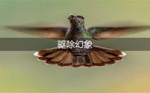 魔兽世界怀旧服WLK驱除幻象任务怎么做 怀旧服WLK驱除幻象任务完成攻略