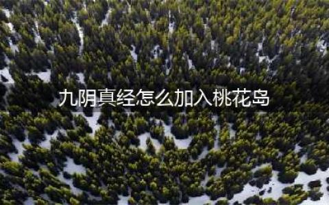 《九阴真经》桃花岛怎么加入