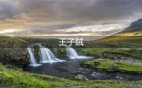 炉石传说二王子贼卡组推荐 天梯第三王子贼打法要点(王子贼)