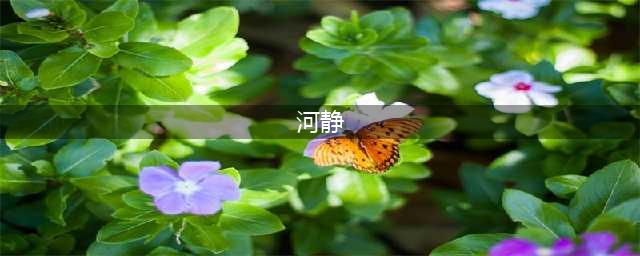 《和平精英》河静特点分析 河静打法思路攻略详解(河静)