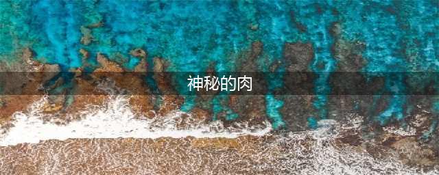 原神神秘的肉刷取路线推荐 原神神秘的肉该怎么刷取