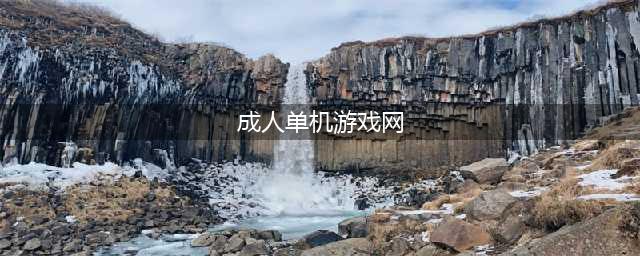 2022最受欢迎的成人单机游戏有哪些 好玩的成人单机游戏推荐(成人单机游戏网)