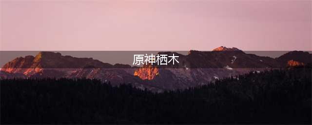 《原神》栖木位置介绍