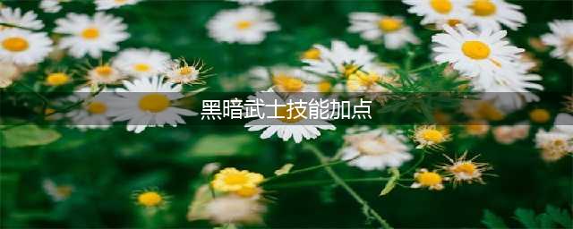 dnf黑暗武士刷图加点和组合技能是什么-黑暗武士刷图加点搭配攻略(黑暗武士技能加点)