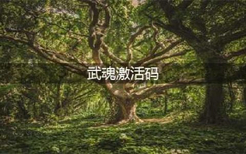 《斗罗大陆武魂觉醒》2021最新礼包兑换码分享 可用礼包码一览(武魂激活码)
