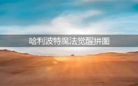 《哈利波特魔法觉醒》拼图坐标汇总 拼图位置大全(哈利波特魔法觉醒拼图)