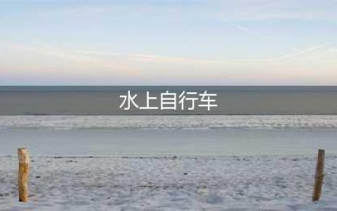 《宝可梦剑盾》水上自行车怎么获得 水上自行车获取攻略(水上自行车)