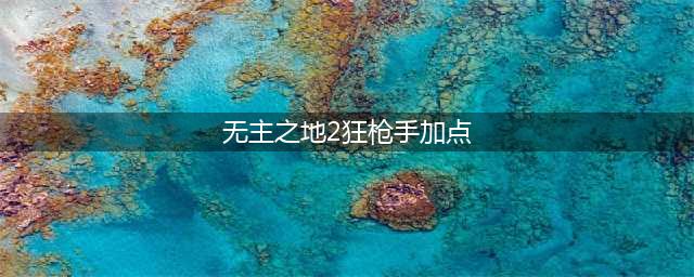 《无主之地2》狂枪萨尔瓦多怎么玩 狂枪萨尔瓦多攻略(无主之地2狂枪手加点)