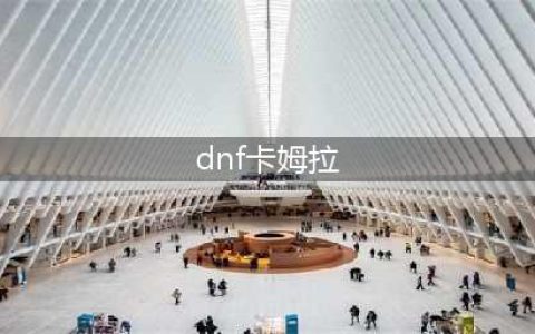 《dnf》可以买的宠物宝珠