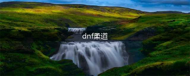 《DNF》女柔道怎么样 女柔道强度评测(dnf柔道)