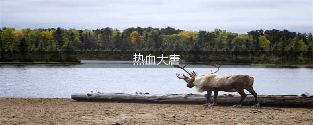 《热血大唐手游》新手攻略大全 新手少走弯路技巧总汇(热血大唐)