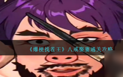 爆梗找茬王八戒娶妻通关攻略-八戒娶妻对八戒进行改造怎么过