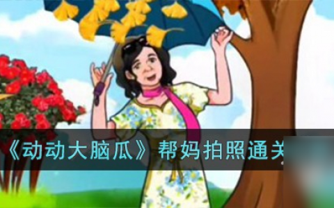 动动大脑瓜帮妈拍照通关攻略推荐