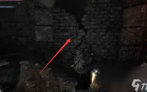 《堕落之主》皮肤和牙齿之剑获取方法介绍