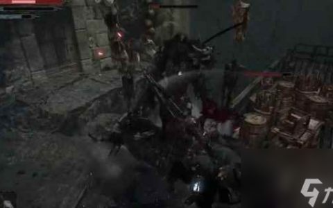 《堕落之主》苦痛戒指获取方法介绍