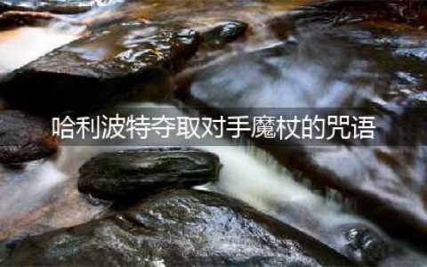 哈利波特能夺取对手魔杖的咒语是什么(哈利波特夺取对手魔杖的咒语)