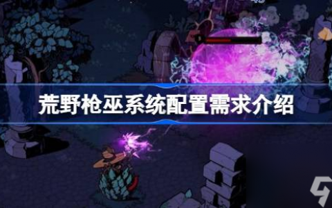 荒野枪巫系统配置需求介绍