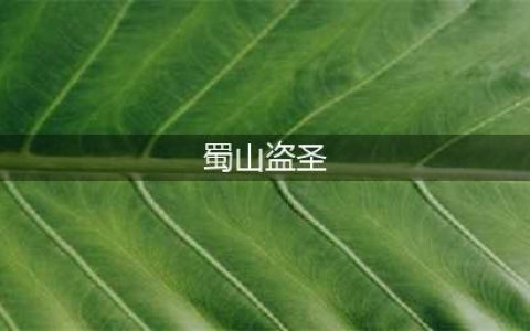 蜀山初章盗圣秘宝在哪 盗圣秘宝全位置图文教程