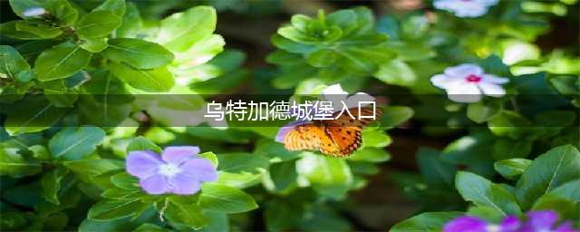 《魔兽世界》乌特加德城堡在哪 WLK乌特加德城堡位置及进入方法分享