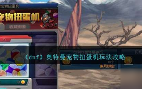 《dnf》奥特曼宠物扭蛋机玩法攻略