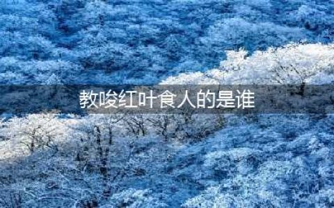 《阴阳师》谁唆使红叶食人的 逢魔密信答案(教唆红叶食人的是谁)