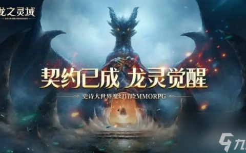 龙之灵域玩法亮点解析 西方魔幻风格MMORPG手游