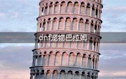 《dnf》巴拉姆特点分析 巴拉姆技能属性图(dnf宠物巴拉姆)