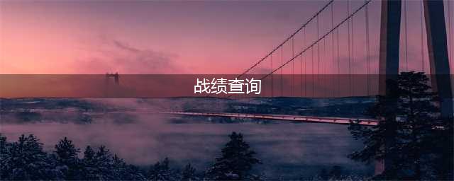 《使命召唤战区》战绩怎么查询 战绩查询方法(战绩查询)