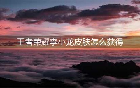 《王者荣耀》李小龙皮肤怎么获得 李小龙皮肤获得方式分享(王者荣耀李小龙皮肤怎么获得)
