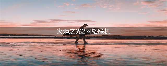 《火炬之光2》怎么联机 联机方法介绍(火炬之光2网络联机)