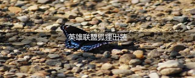 《LOL》手游狐狸怎么出装 狐狸出装顺序介绍(英雄联盟狐狸出装)