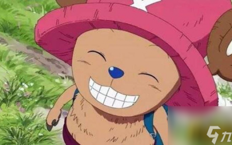 航海王燃烧意志新世界乔巴厉害吗