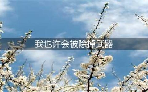 《哈利波特魔法觉醒》我也许会被除掉武器线索位置汇总(我也许会被除掉武器)