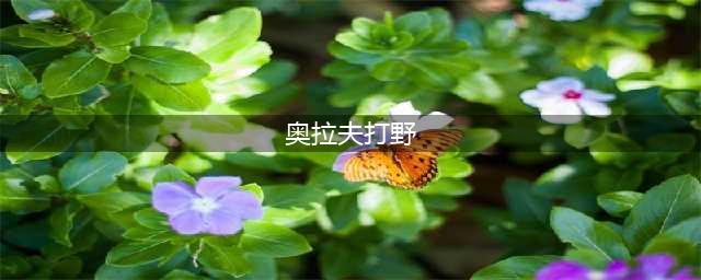 《lol》12.13版本打野奥拉夫玩法推荐(奥拉夫打野)