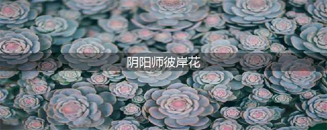 《阴阳师》彼岸花如何克制 克制彼岸花阵容(阴阳师彼岸花)