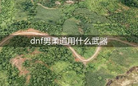 《DNF》男柔道CP武器解析(dnf男柔道用什么武器)