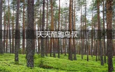 天天酷跑暴力鸟叔最强刷钻石刷金币最强组合(天天酷跑鸟叔)