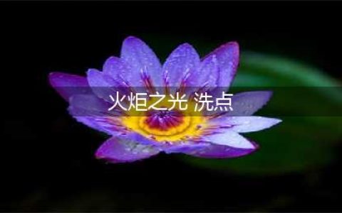 《火炬之光3》如何洗点 洗点方法一览(火炬之光 洗点)