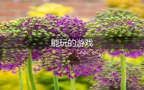 无需登陆就能玩的游戏下载大全 有什么不用登陆就能玩的游戏手游推荐2022(能玩的游戏)