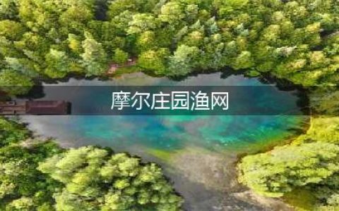 摩尔庄园渔网在哪得 渔网获取方法(摩尔庄园渔网)