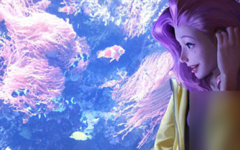 塞尔达流程介绍