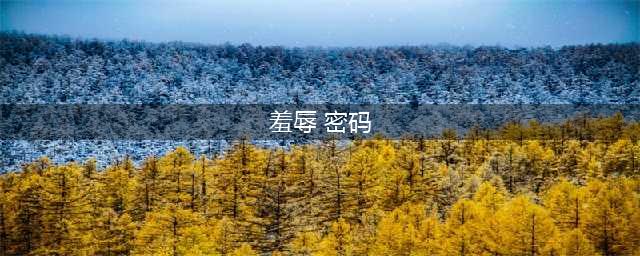 《羞辱界外魔之死》部分密码一览 公寓保险箱密码是多少(羞辱 密码)