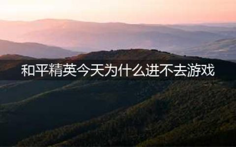 《和平精英》进不去游戏怎么办 进不去游戏解决方法介绍(和平精英今天为什么进不去游戏)