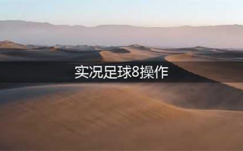 《实况足球8》键盘怎么操作 键盘操作按键攻略大全(实况足球8操作)