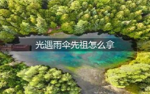 光遇雨伞先祖怎么拿