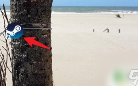 steam已经购买的游戏不见了 steam购买的游戏消失怎么办