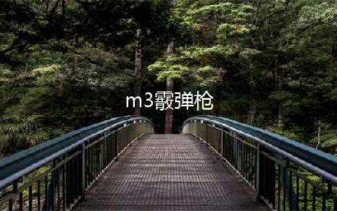 《生化危机3重制版》M3散弹枪怎么获得 M3散弹枪获取攻略(m3霰弹枪)
